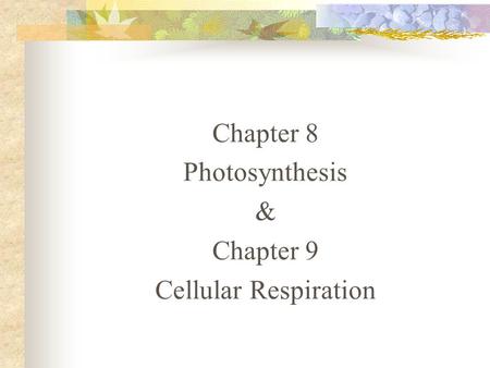 Chapter 8 Photosynthesis & Chapter 9 Cellular Respiration.