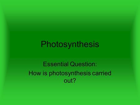 Essential Question: How is photosynthesis carried out?