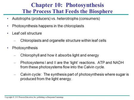 Copyright © 2005 Pearson Education, Inc. publishing as Benjamin Cummings Chapter 10: Photosynthesis The Process That Feeds the Biosphere Autotrophs (producers)