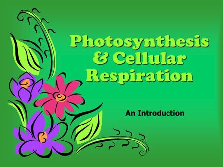 Photosynthesis & Cellular Respiration An Introduction