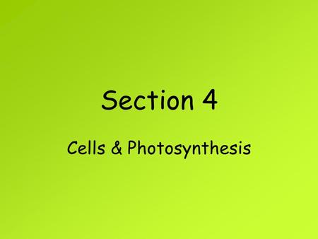 Cells & Photosynthesis