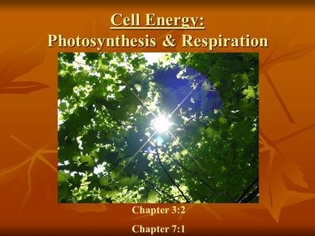 Cell Energy: Photosynthesis & Respiration Chapter 3:2 Chapter 7:1.