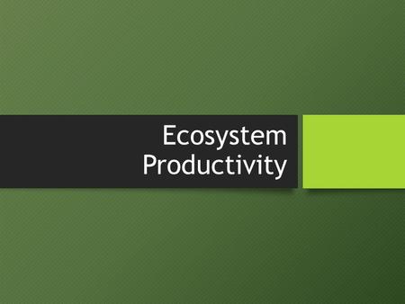 Ecosystem Productivity. Assessment Statements 2.5.2: Describe photosynthesis and respiration in terms of inputs, outputs and energy transformations. 2.5.2: