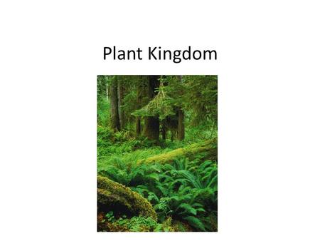 Plant Kingdom.