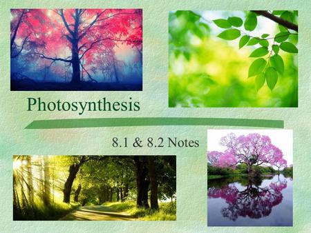 Photosynthesis 8.1 & 8.2 Notes.