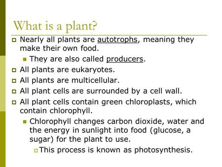 What is a plant?  Nearly all plants are autotrophs, meaning they make their own food. They are also called producers.  All plants are eukaryotes.  All.