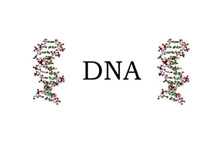 DNA. Nucleic Acids Review – Nucleic acids store and transmit genetic information – Genetic information = instructions for making proteins – Monomers =