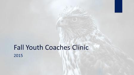 Fall Youth Coaches Clinic 2015. Agenda  What We’re About (and NOT About)  Why?  Coaching Strategies + Tips.