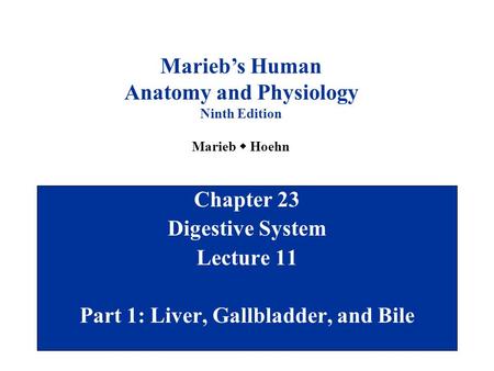 Anatomy and Physiology Part 1: Liver, Gallbladder, and Bile
