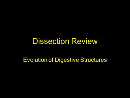 Dissection Review Evolution of Digestive Structures.