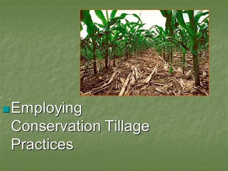 Employing Conservation Tillage Practices Employing Conservation Tillage Practices.