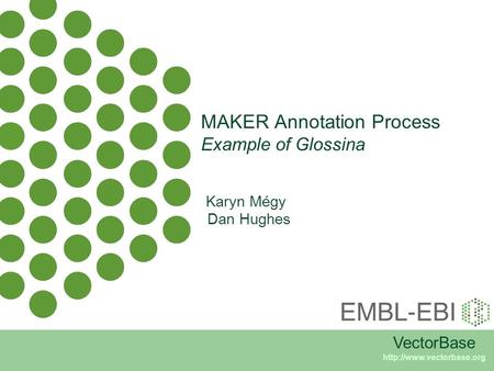 MAKER Annotation Process Example of Glossina VectorBase  Karyn Mégy Dan Hughes.