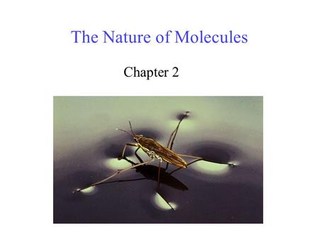 The Nature of Molecules Chapter 2. 2 Why should we study atoms? Substances with mass and space – Matter All matter is composed of atoms. Understanding.