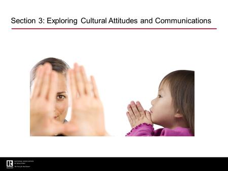 Section 3: Exploring Cultural Attitudes and Communications.