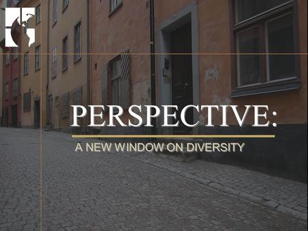 PERSPECTIVE: A NEW WINDOW ON DIVERSITY. Workshop Overview 1.About This Course 2.About Diversity 3.About Humanity 4.About Leverage 5.Building a Diverse.