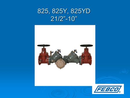 825, 825Y, 825YD 21/2”-10”. Modification Overview  825- (1975-1988) Cast iron body- Threaded in seats- Internal check parts are epoxy coated iron. Old.