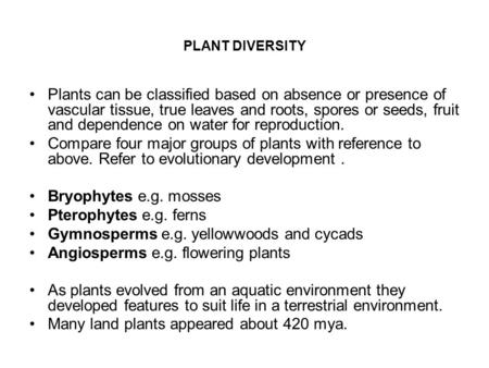 Gymnosperms e.g. yellowwoods and cycads