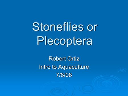 Stoneflies or Plecoptera Robert Ortiz Intro to Aquaculture 7/8/08.