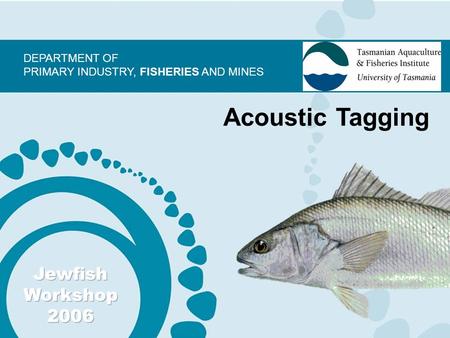 DEPARTMENT OF PRIMARY INDUSTRY, FISHERIES AND MINES Acoustic Tagging.