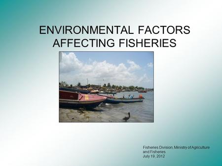 ENVIRONMENTAL FACTORS AFFECTING FISHERIES Fisheries Division, Ministry of Agriculture and Fisheries July 19, 2012.