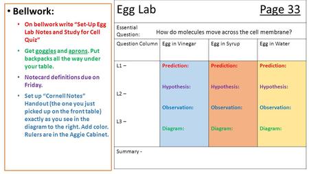 Egg LabPage 33 Essential Question: Question ColumnEgg in VinegarEgg in SyrupEgg in Water L1 – L2 – L3 – Prediction: Hypothesis: Observation: Diagram: Prediction: