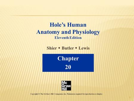 1 Hole’s Human Anatomy and Physiology Eleventh Edition Shier  Butler  Lewis Chapter 20 Copyright © The McGraw-Hill Companies, Inc. Permission required.