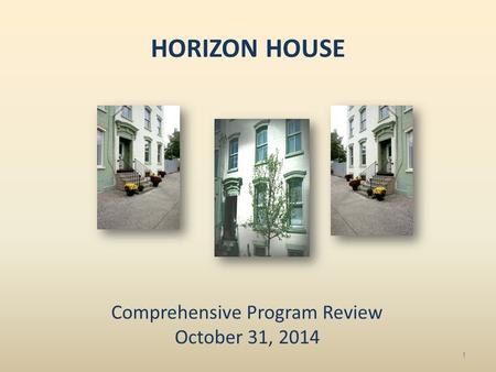 HORIZON HOUSE Comprehensive Program Review October 31, 2014 1.