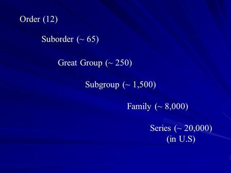 Order (12) Suborder (~ 65) Family (~ 8,000) Great Group (~ 250) Subgroup (~ 1,500) Series (~ 20,000) (in U.S)