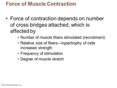 Force of Muscle Contraction