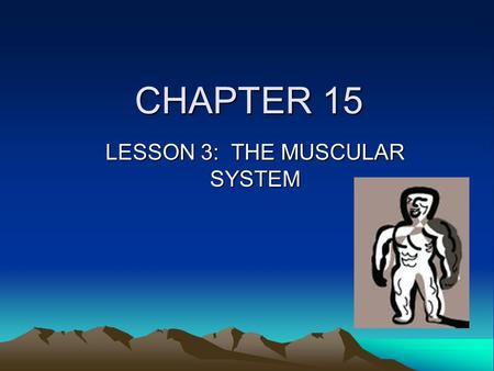 CHAPTER 15 LESSON 3: THE MUSCULAR SYSTEM. FUNCTIONS OF THE MUSCLES All movement Pump blood throughout the body (HEART) Move food thru digestive system.