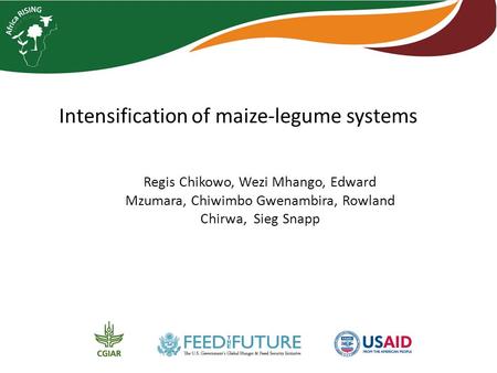 Intensification of maize-legume systems