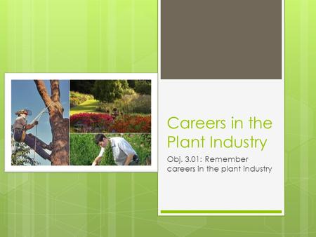 Careers in the Plant Industry Obj. 3.01: Remember careers in the plant industry.