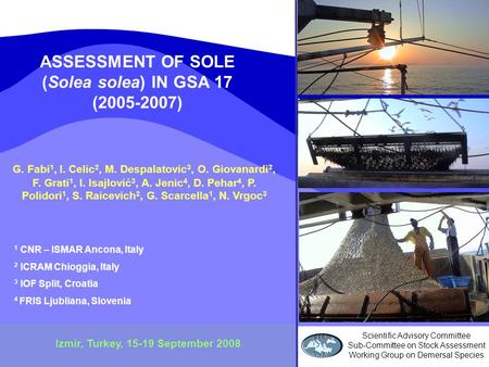 ASSESSMENT OF SOLE (Solea solea) IN GSA 17 (2005-2007) Izmir, Turkey, 15-19 September 2008 G. Fabi 1, I. Celic 2, M. Despalatovic 3, O. Giovanardi 2, F.
