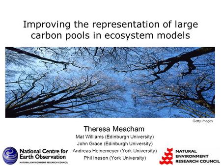Improving the representation of large carbon pools in ecosystem models Mat Williams (Edinburgh University) John Grace (Edinburgh University) Andreas Heinemeyer.