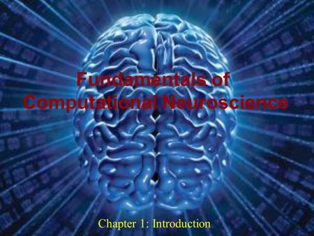 0 Chapter 1: Introduction Fundamentals of Computational Neuroscience Dec 09.
