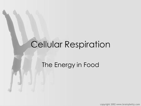 Cellular Respiration The Energy in Food.