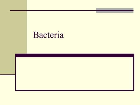 Bacteria. Bacteria differ from Eukaryotes No nucleus or membrane bound organelles 10 times smaller Unicellular, activities not specialized Single chromosome.