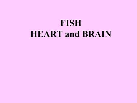 FISH HEART and BRAIN.
