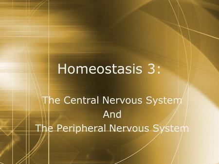 Homeostasis 3: The Central Nervous System And The Peripheral Nervous System The Central Nervous System And The Peripheral Nervous System.