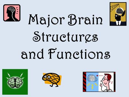 Major Brain Structures and Functions