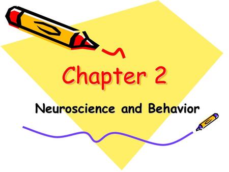 Chapter 2 Neuroscience and Behavior. Biological Psychology The study of the links between biology and behavior.