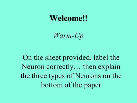 Welcome!! Warm-Up On the sheet provided, label the Neuron correctly… then explain the three types of Neurons on the bottom of the paper.