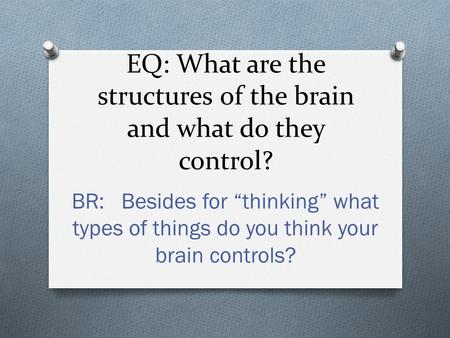 EQ: What are the structures of the brain and what do they control? BR: Besides for “thinking” what types of things do you think your brain controls?