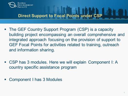 Direct Support to Focal Points under CSP  The GEF Country Support Program (CSP) is a capacity building project encompassing an overall comprehensive and.