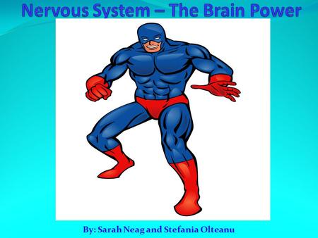 By: Sarah Neag and Stefania Olteanu. The Nervous System The Nervous System is responsible for all the processes that make human life possible. It’s responsible.