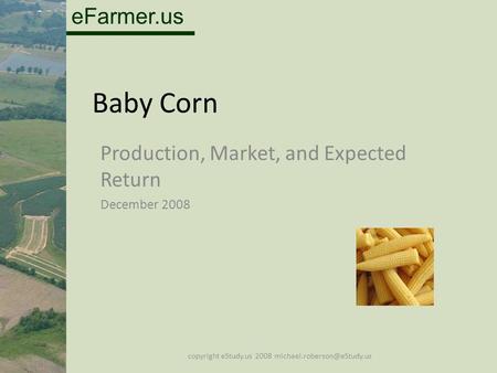 EFarmer.us Baby Corn Production, Market, and Expected Return December 2008 copyright eStudy.us 2008
