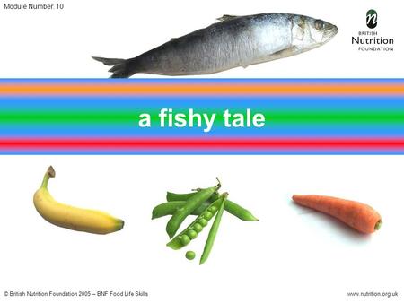 © British Nutrition Foundation 2005 – BNF Food Life Skillswww.nutrition.org.uk Module Number: 10 a fishy tale.