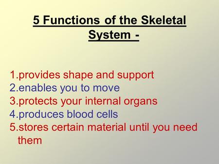 5 Functions of the Skeletal System -