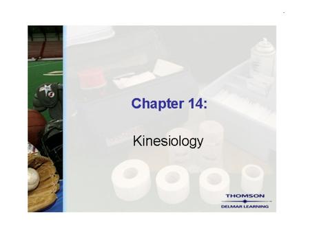 Kinesiology Kinesiology is a multidisciplinary study focusing on exercise stress, movement efficiency, and fitness. The articular system is a series of.