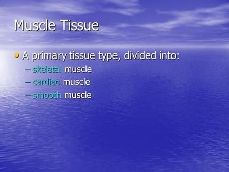 Muscle Tissue A primary tissue type, divided into: A primary tissue type, divided into: –skeletal muscle –cardiac muscle –smooth muscle.